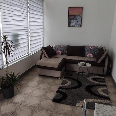 Apartman Jasna, Pirot Buitenkant foto