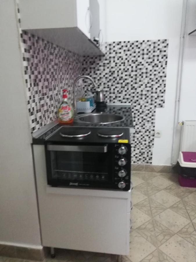 Apartman Jasna, Pirot Buitenkant foto